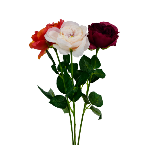 Róża pojedyncza mix kolorów