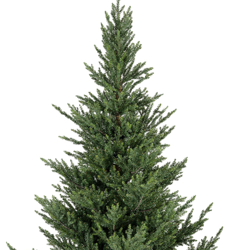 Choinka świerk Norway 150 cm