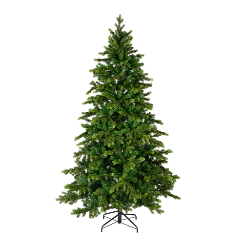 Choinka świerk Galloway 240 cm