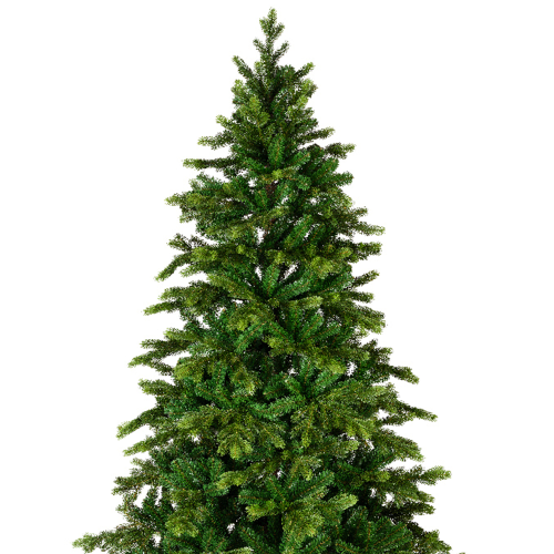 Choinka świerk Galloway 210 cm