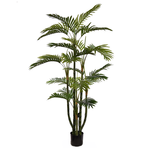 Palma Hawaia 180cm