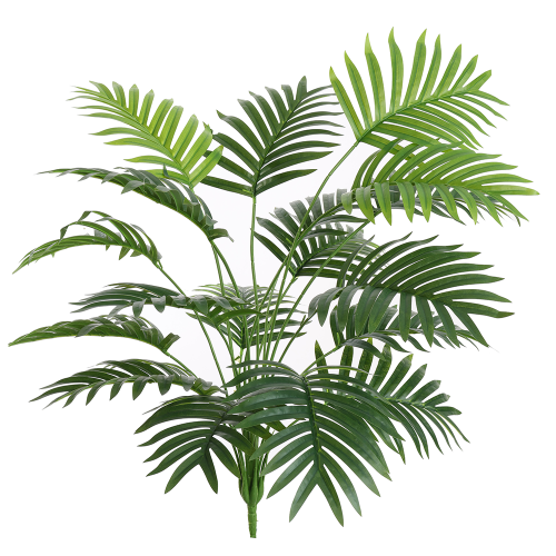 Palma zielona łodyga 65cm