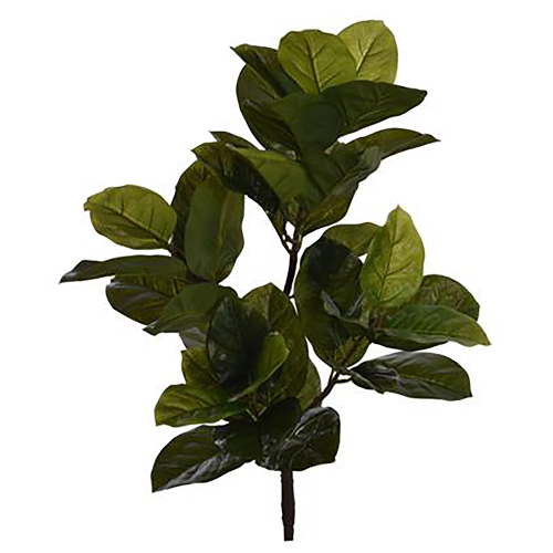 Krzew łodyga zielona 70cm