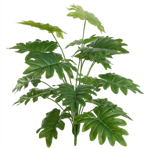 Monstera gałązka 65cm